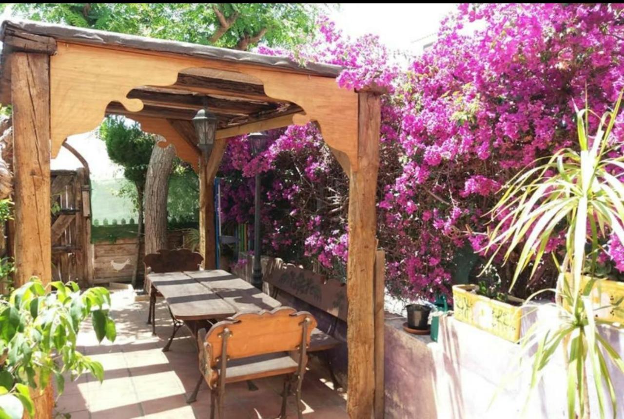 Bungalow Con Encanto, 100M2, A 800 M De La Playa El Campello Eksteriør billede