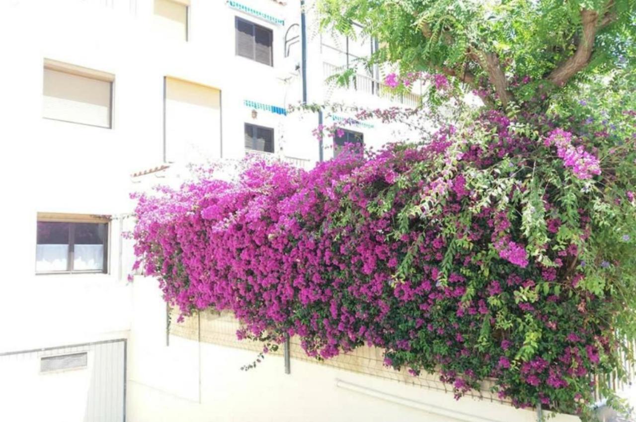 Bungalow Con Encanto, 100M2, A 800 M De La Playa El Campello Eksteriør billede